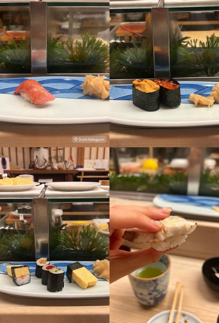  도쿄 오모테산도 맛집 키도구치 런치 스시정식ㅣ풀 한국인이었던 실화....