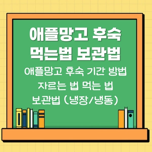 애플망고 후숙 기간 방법 자르는법 먹는법 보관법