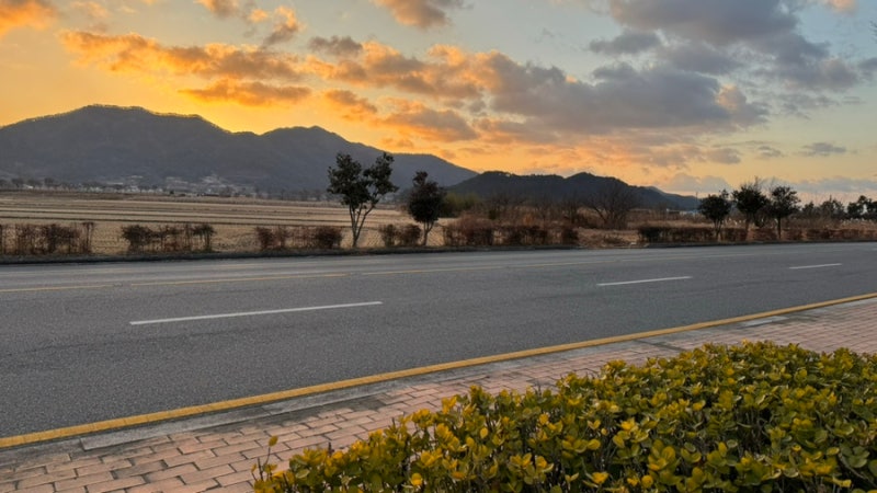 사진 15