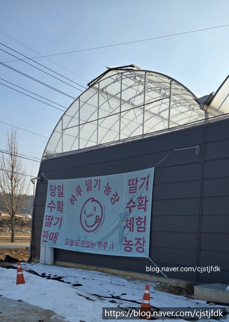  딸기가 아주 맛있는 여주 '하루딸기농장'