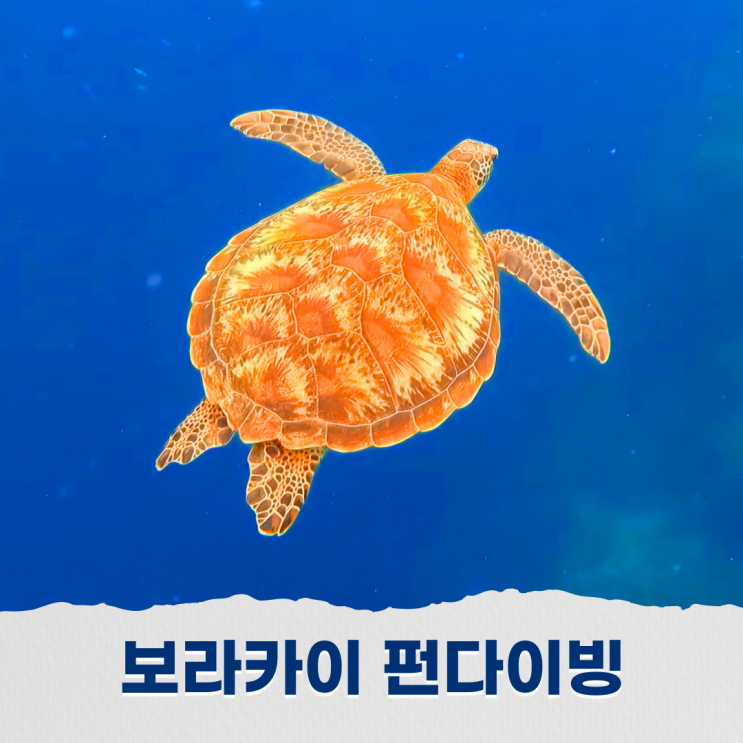  보라카이 펀다이빙 스쿠버다이빙 푸른 바다 속 찾은 자유