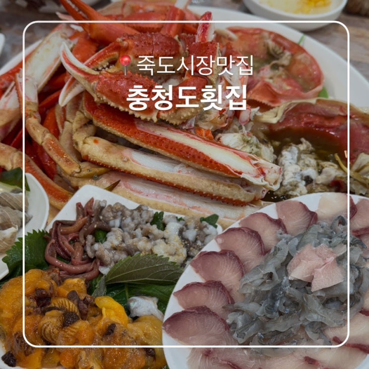  포항 죽도시장 맛집 충청도횟집 1월 대게 내돈내산