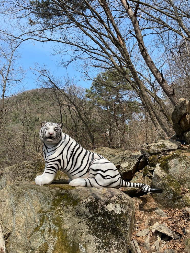  악 소리 나오는 파주 감악산과 출렁다리 등산 후기
