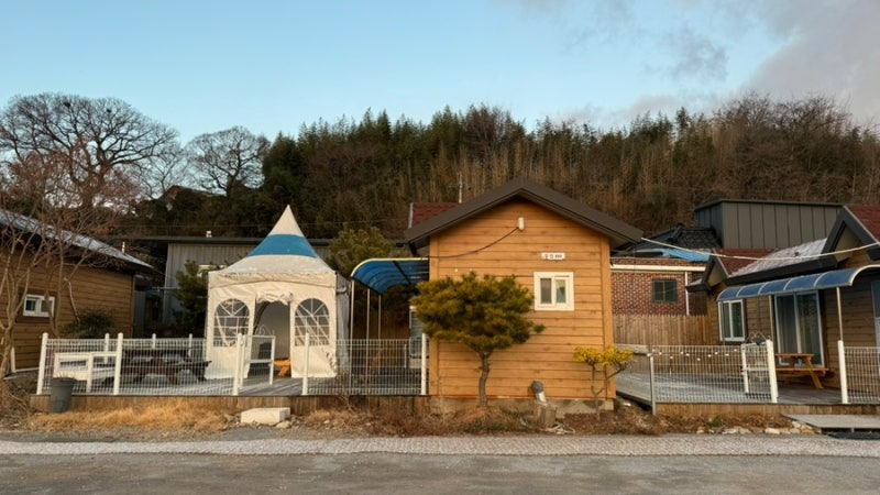 사진 5