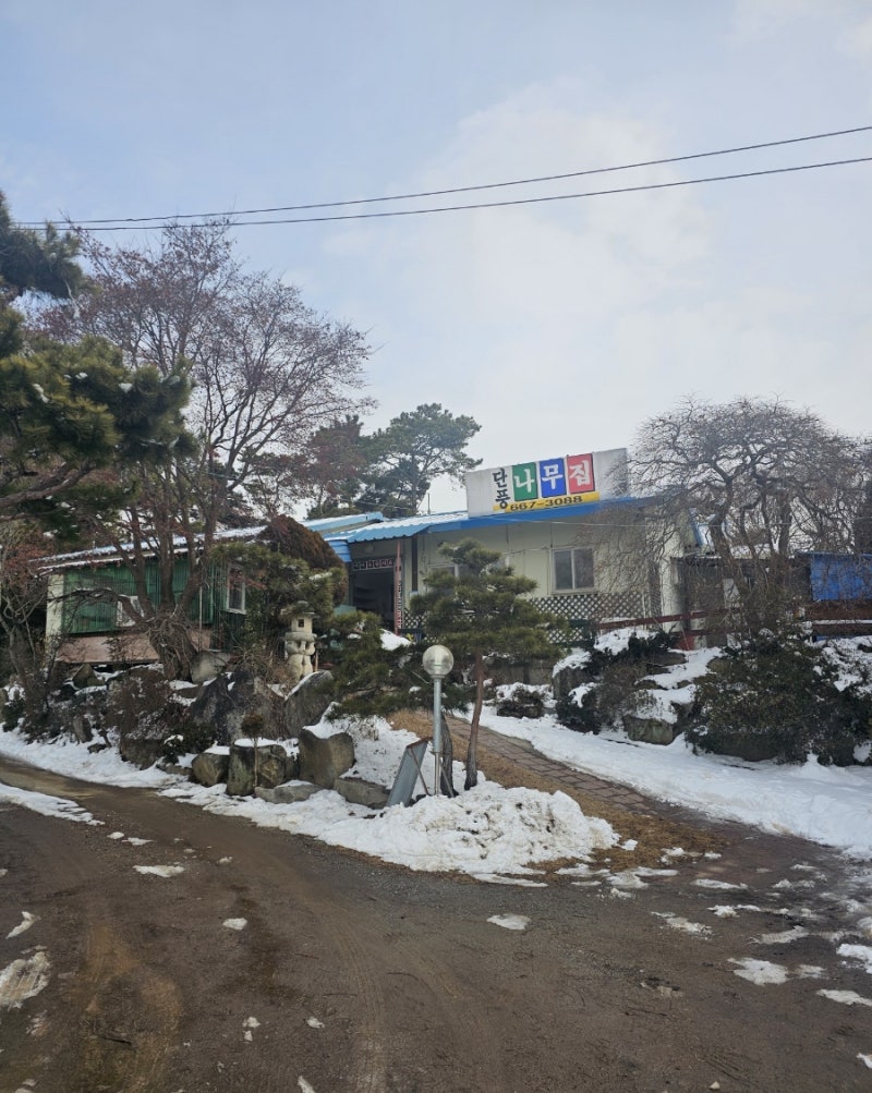 서산 삼계탕 단풍나무집