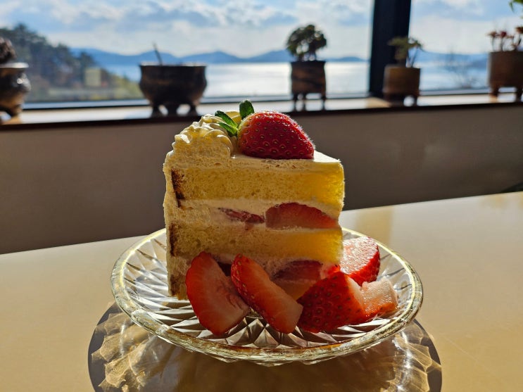  편안한 분위기 맛있는 딸기케이크와 수제 유자차 거제 거제면 오션뷰 카페 노마드