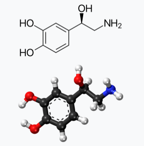 노르에피네프린(Norepinephrine) 사용법과 주의사항