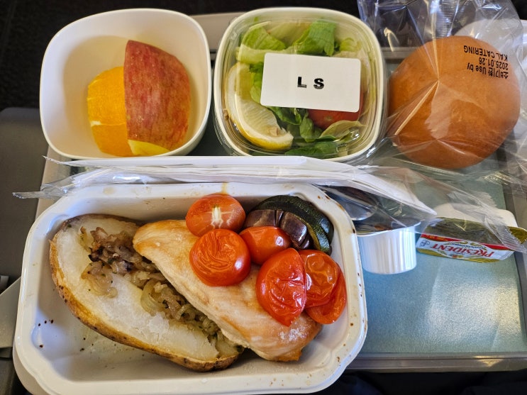  김포공항 셀프수화물 김포-하네다 김네다 대한항공 에어버스 A330-300 비상구 좌석 및 저염식 후기