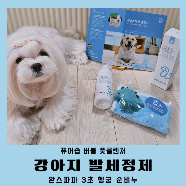  산책후발사탕 강아지발세정제 완스파파 3초헹굼 풋클렌저