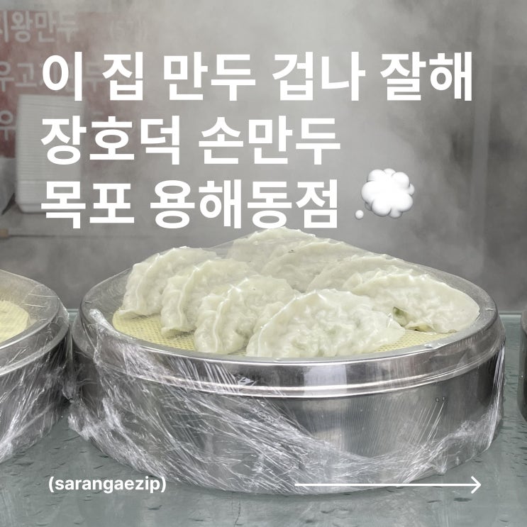  [목포] 5천원으로 행복한 한 입, 목포 장호덕 손만두 (메뉴/후기)