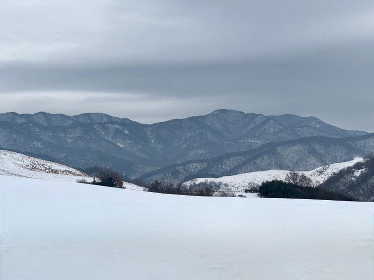  가야산 뷰 서산 한우목장 웰빙산책로 서해안 설경 대관령 양떼목장 안 부럽다