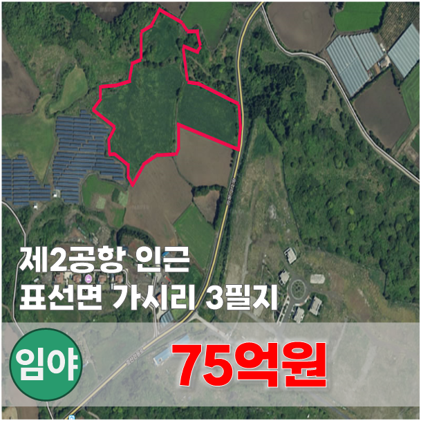  【매매】 표선면 가시리 제2공항 개발 영향권 8M도로 접한 토지