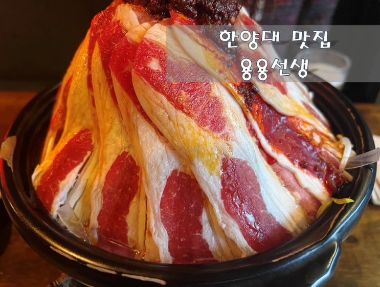  마라전골 맛집 한양대 [용용선생]
