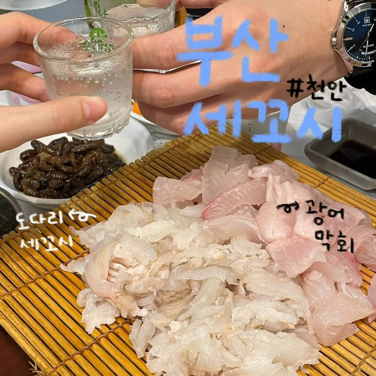  천안 봉명동 맛집 천안 도다리, 광어 세꼬시 전문 ‘부산세꼬시 봉명점’ 후기