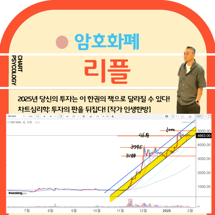  리플 시세 분석 - 박스권 나가기 전에 반등해야! 리플 전망 2025년 2월 1 주차