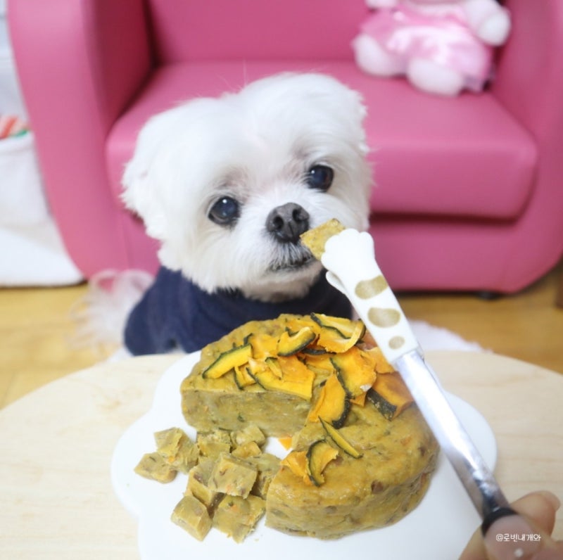 사진 3