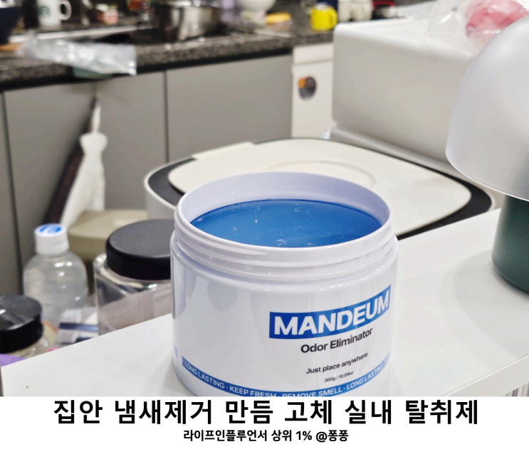  옷장 화장실 신발장 하수구 집안 냄새제거 만듬 고체 실내 탈취제