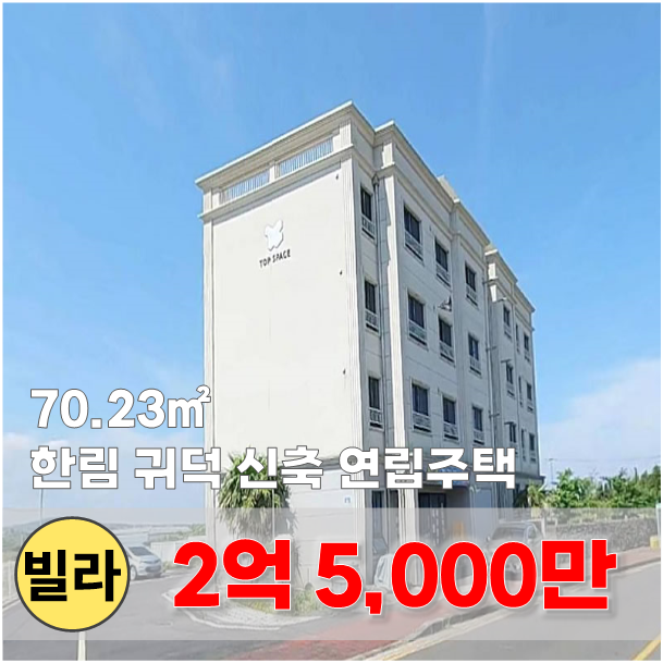  【매매】 한림 민속5일장 인근 감성적인 빌라
