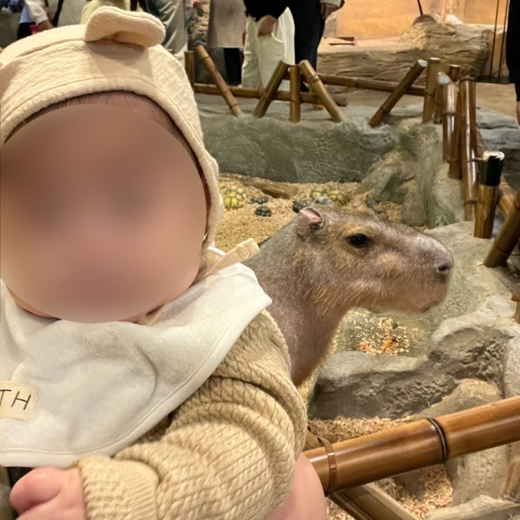  부산 명지 라라쥬동물원 6개월 아기랑 특별한 경험