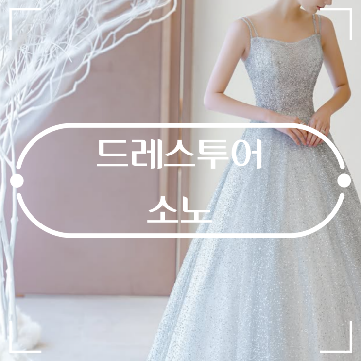  브라이덜 소노 SONO 드레스 투어 하고 당일계약 했어요