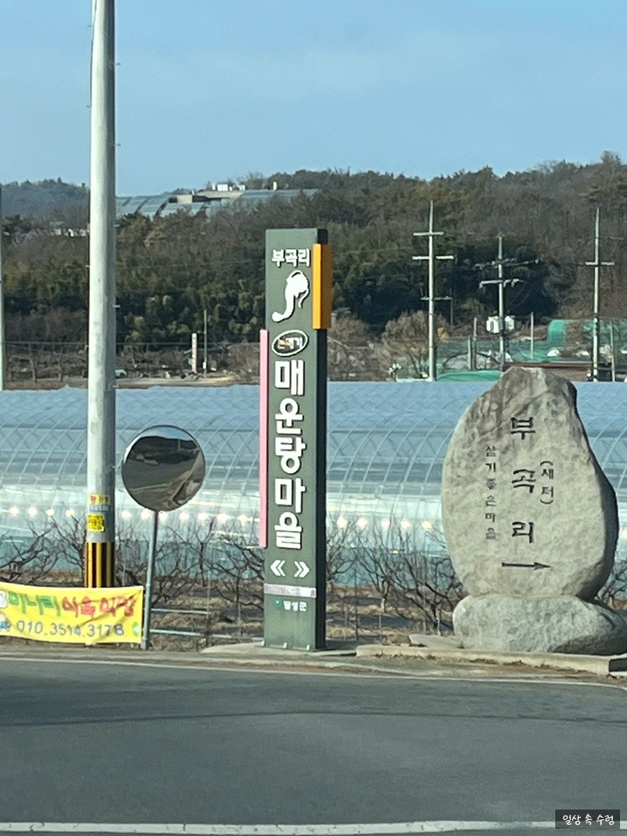대성논메기매운탕 사진 1