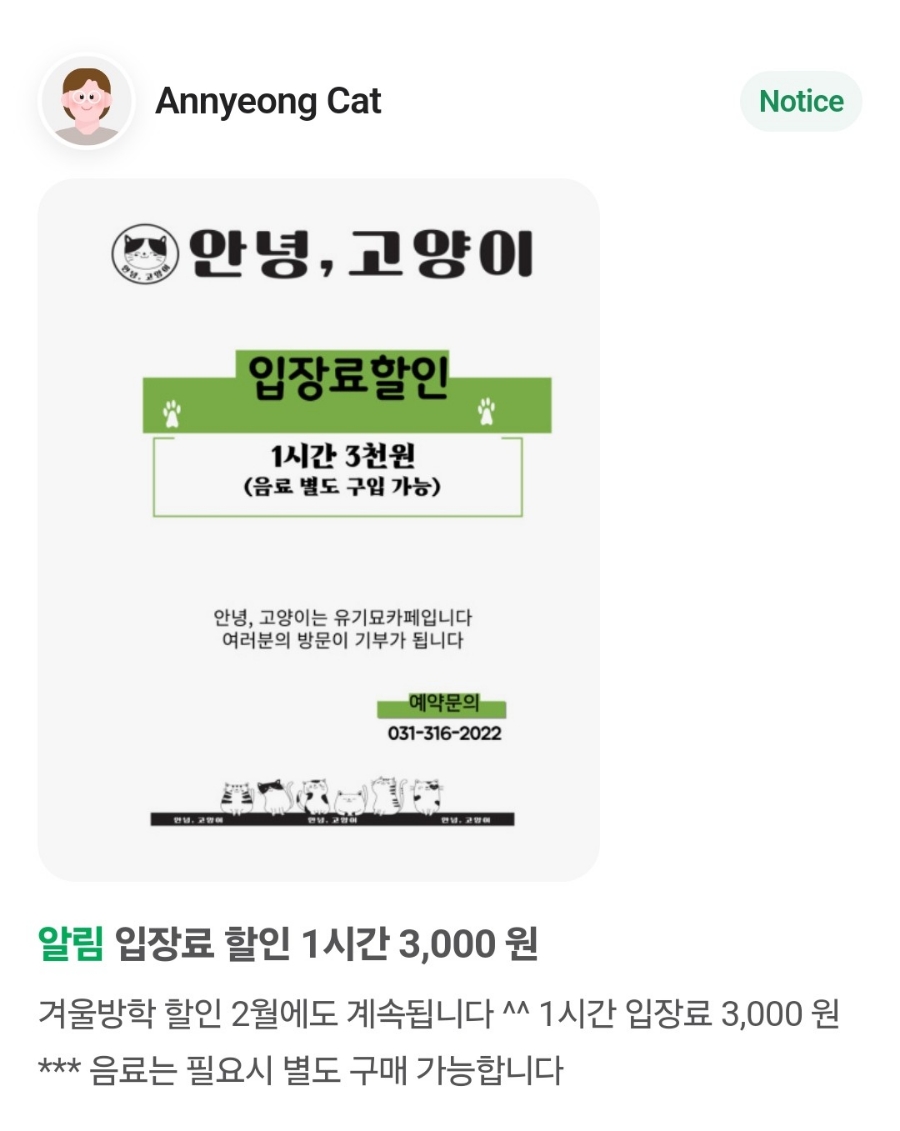 안녕,고양이 사진 3