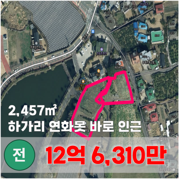  【매매】 아름다운 돌담과 연꽃마을로 유명한 하가리 연화지 인근 토지