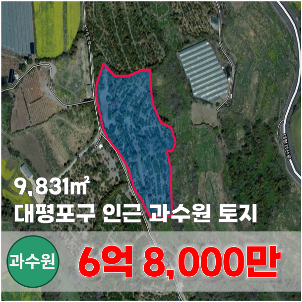  【매매】 꿈같은 감귤밭 가꾸며 제주 생활하기 적합한 토지
