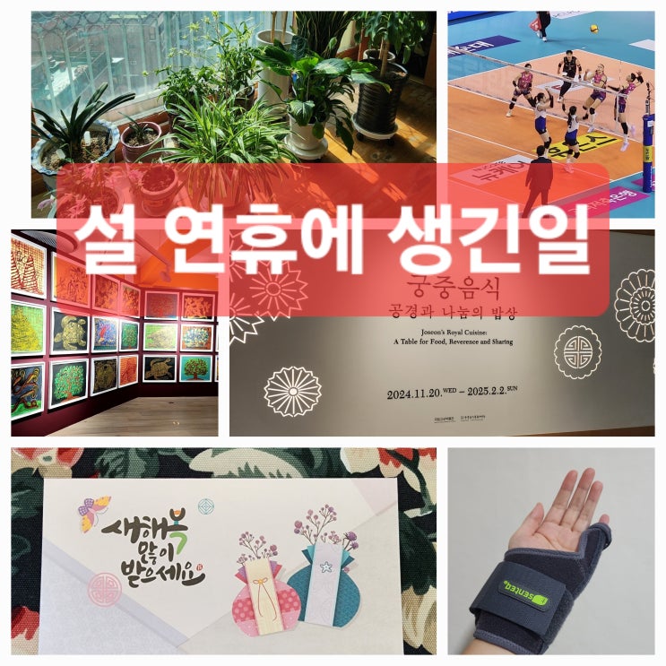  25년 설연휴에 생긴일
