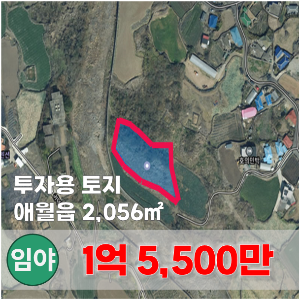  【매매】 곽지해수욕장 차량5분거리 투자용 토지