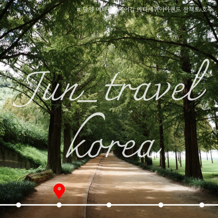 담양 메타쉐콰이어길 메타세퀴이아랜드 산책로 호수 한 바퀴