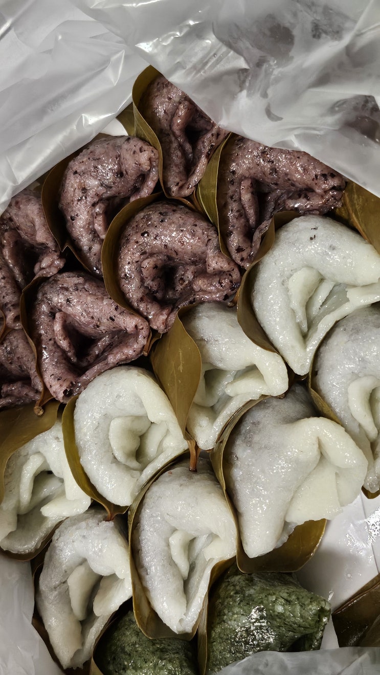  광주 선물하기 좋은 떡집 수완지구 "설이향 망개떡" 찐맛집