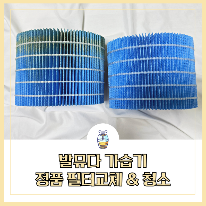 발뮤다 가습기 필터 청소 정품 교체 주기 단점과 사용법