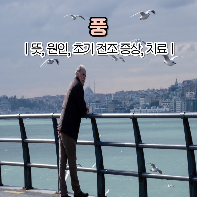 풍 초기증상 전조증상 뜻 중풍 치료방법