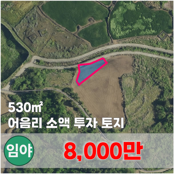  【매매】 애월읍 아르테뮤지엄 인근, 힐링할 수 있는 단독주택지