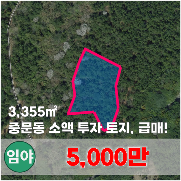  【매매】 서귀포 중문천 인근, 소액 투자 및 자연청정 / 자연인 토지