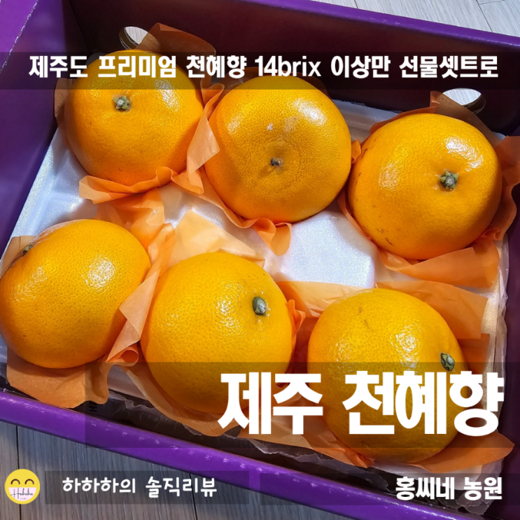  천혜향 시기와 보관 방법, 레드향 차이 선물세트 추천