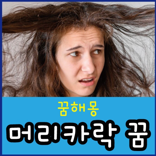 머리카락 치우는 꿈 머리카락 자르는 꿈 잘리는 꿈해몽
