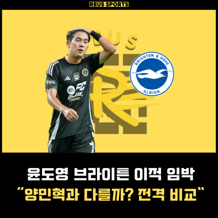 <b>윤도영 브라이튼 이적</b> 임박 토트넘 양민혁과 다를까? 전격 비교