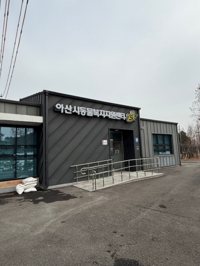 사진 2
