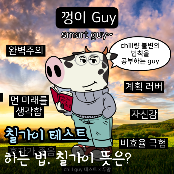  칠가이 테스트 하는 법, Chill guy 테스트 뜻, 밈 유행 이유