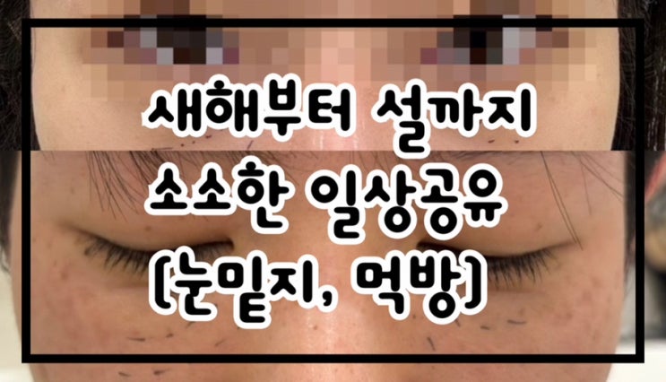  새해부터 설까지 소소한 일상 공유