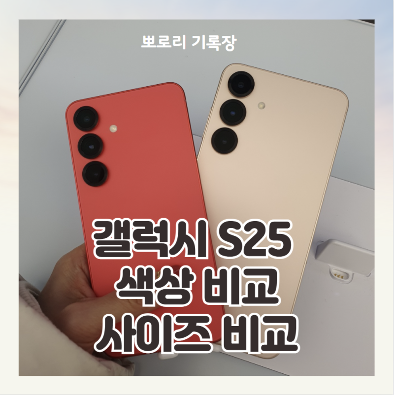 갤럭시s25 색상비교 사이즈비교 삼성닷컴 삼성강남 전용 컬러 포함