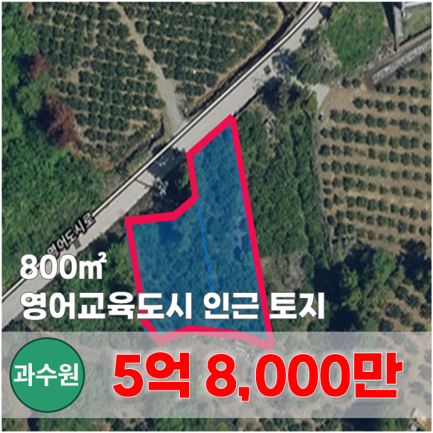  【매매】 영어교육도시 차량5분 8M도로 접한  과수원 부지