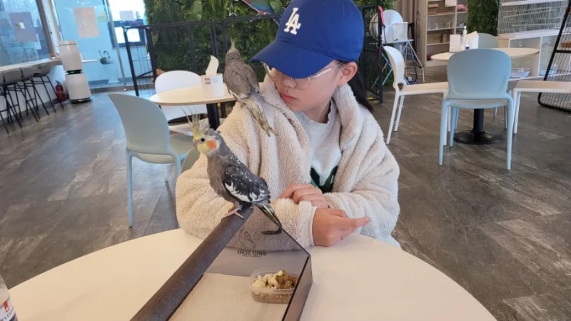 사진 7