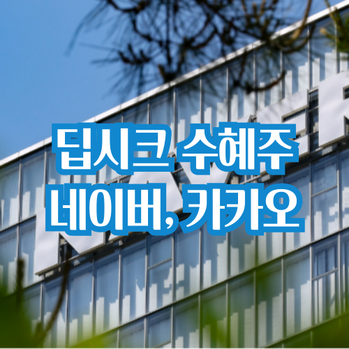  딥시크 쇼크에도 올랐다, 딥시크 수혜주로 떠오른 네카오