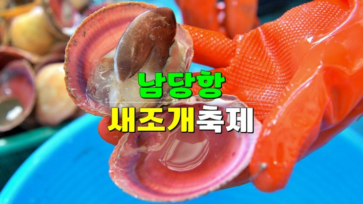 2025 홍성남당항 새조개와 함께하는 수산물 축제 · 기본정보 초대가수 라인업 (새조개 포장 가격) 2025 홍성남당항 새조개와 함께하는 수산물 축제 · 기본정보 초대가수 라인업 (새조개 포장 가격)