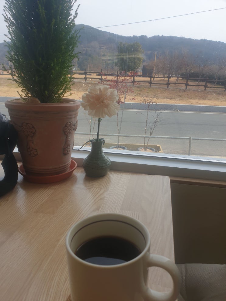 진동 느티 카페 진동 느티 카페