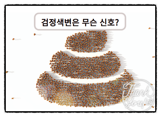 검정색변이 알려주는 건강 신호를 무엇일까요?