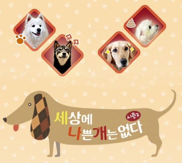  세상에 나쁜 아이는 없다